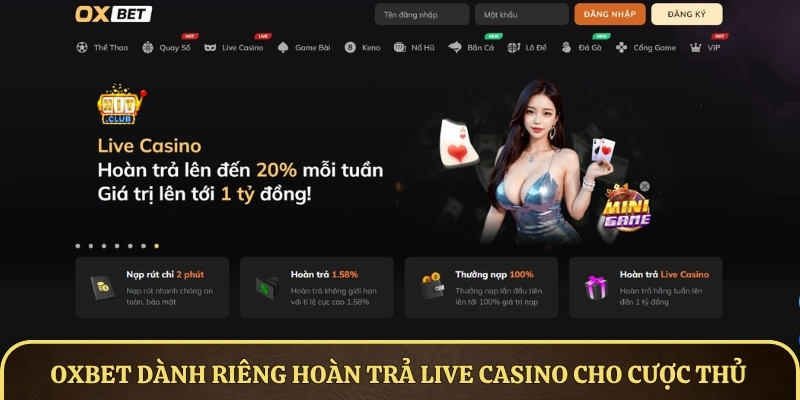 OXBET dành riêng chương trình hoàn trả Live Casino